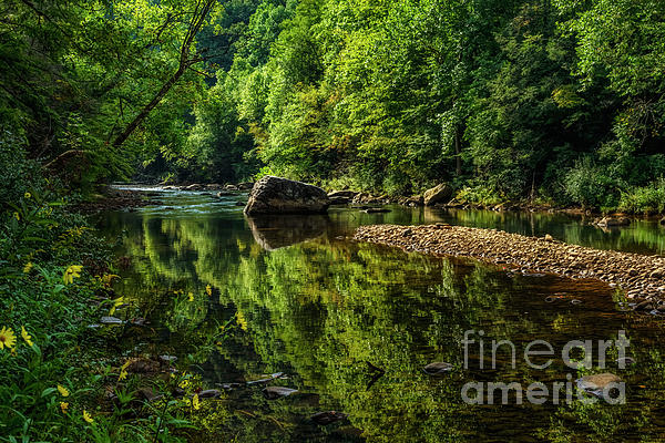 Williams River September Morning by Thomas R Fletcher Williams River September Morning by Thomas R Fletcher